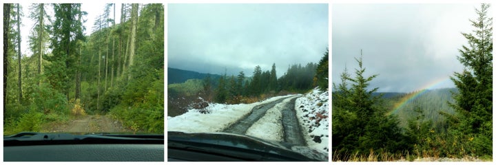 <p>The road to Bluff Creek.</p>