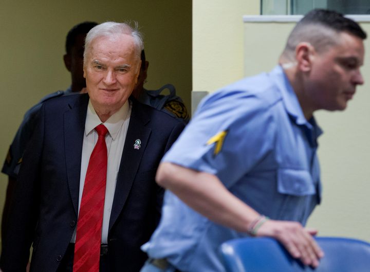 Ex-Bosnian Serb wartime general Ratko Mladic appears in court at the International Criminal Tribunal in the Hague, Netherlands on Wednesday