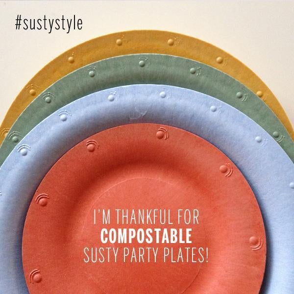 Image via <a rel="nofollow" href="https://www.sustyparty.com/blogs/news/10439389-im-thankful" target="_blank">Susty Party Blo