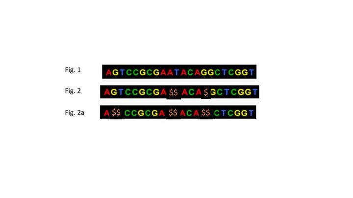 Fig. 1, Typical gene sequence; Fig. 2, Republican gene sequence; Fig. 2a, President Donald J. Trump’s gene sequence