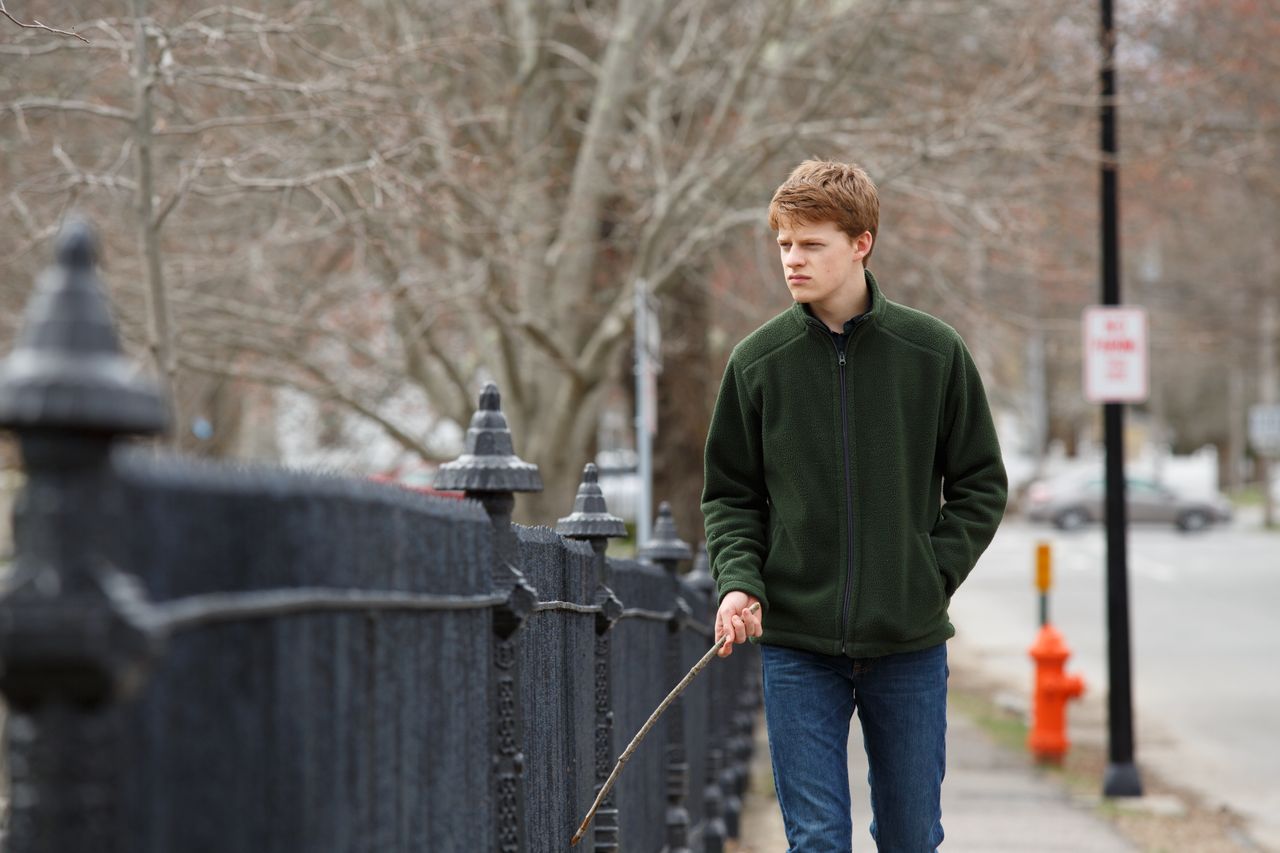 Hedges in "Manchester by the Sea."