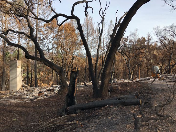 My first visit post-fire to the site of our former house on November 19, 2017.