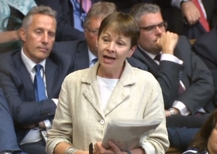Green Party co-leader Caroline Lucas tabled an amendment in the Commons to the EU (Withdrawal) Bill on November 15, 2017