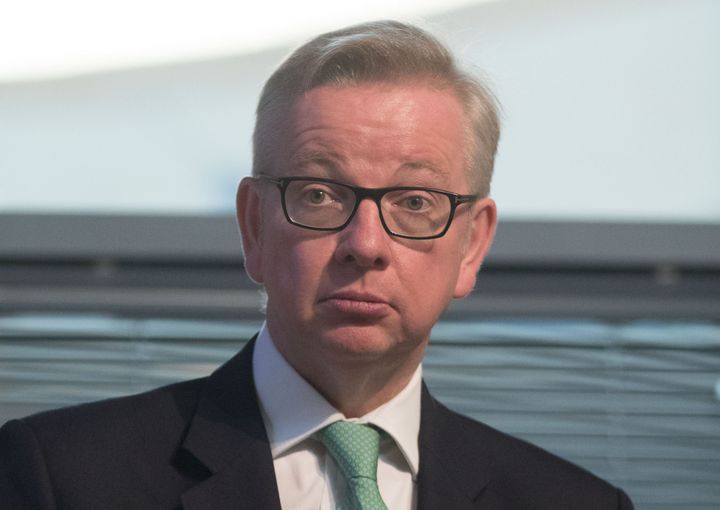 Michael Gove has denied that the government voted against animal sentience.