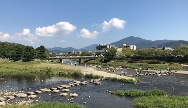 Waders, Kamo River
