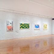 FAPE Installation View