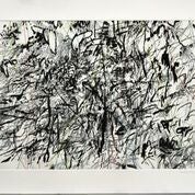 <em>Julie Mehretu, VERTIGINOUS FOLD, 2014, 9-color aquatint with spit bite</em>