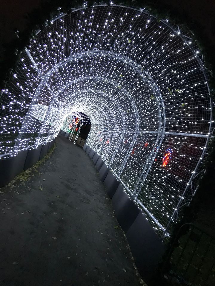 Christmas At Kew Gardens - If It's The Only Time, Visit At Christmas ...