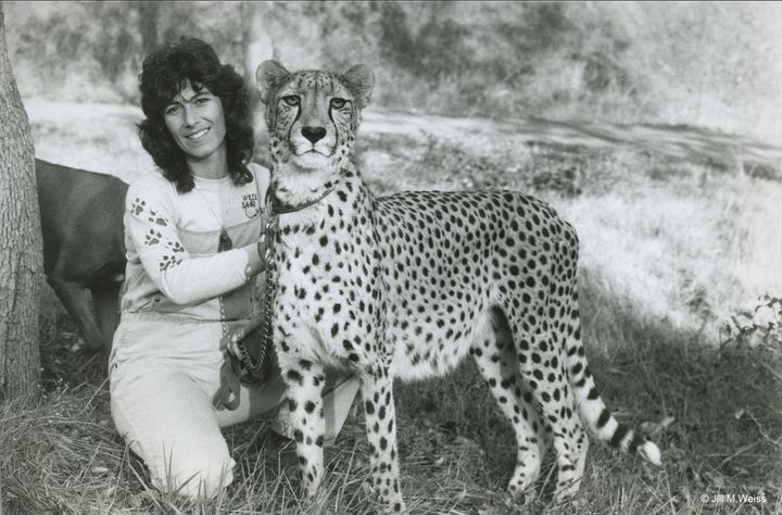 Dr. Laurie Marker with Khayam at Wildlife Safari