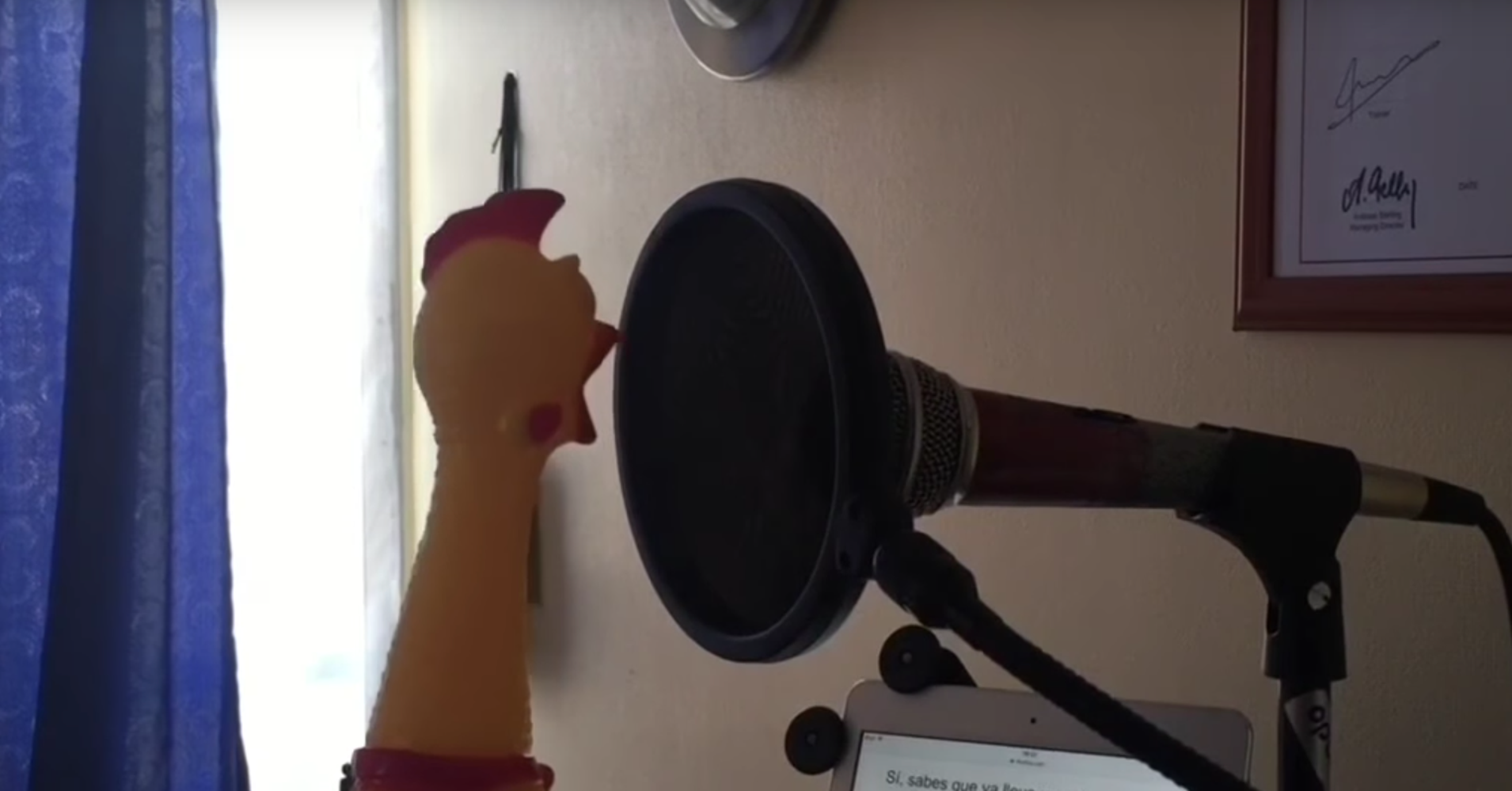 Watch This Rubber Chicken Sing 'Despacito' And Rethink Your Own