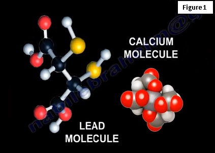 lead poisoning in adults