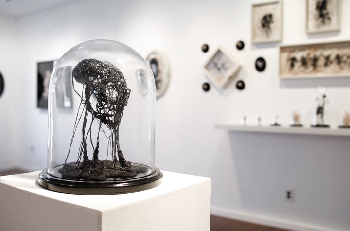 <p>Caitlin McCormack: Lazarus Taxa at Paradigm Gallery. Installation view.</p>