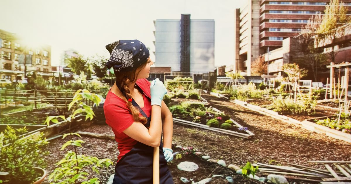 Top Green Jobs Of The Future Huffpost Impact