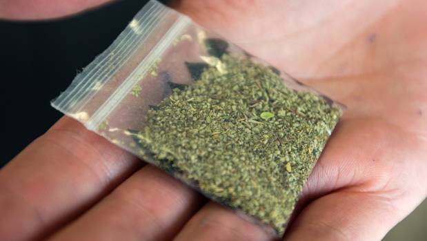 This is NOT cannabis.