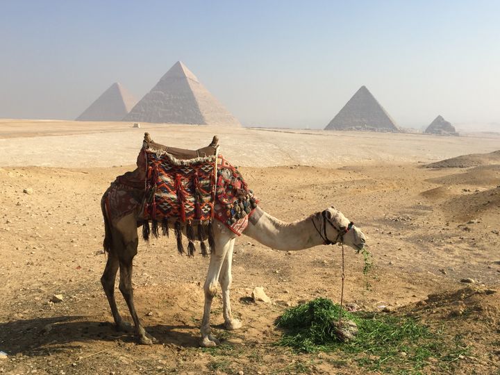The Great Pyramids of Giza are the only one of the ancient Wonders still standing.