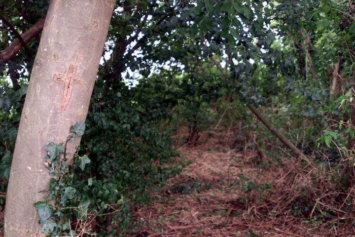 The piece of land in Kent where the murders took place