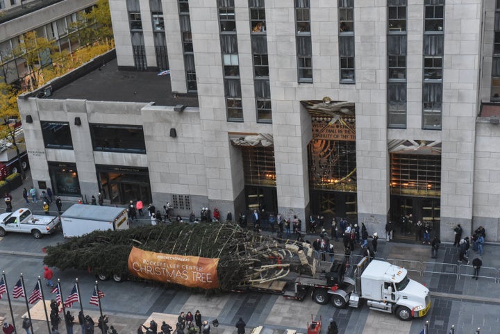 The 75-foot Norway Spruce will be lit on Wednesday.