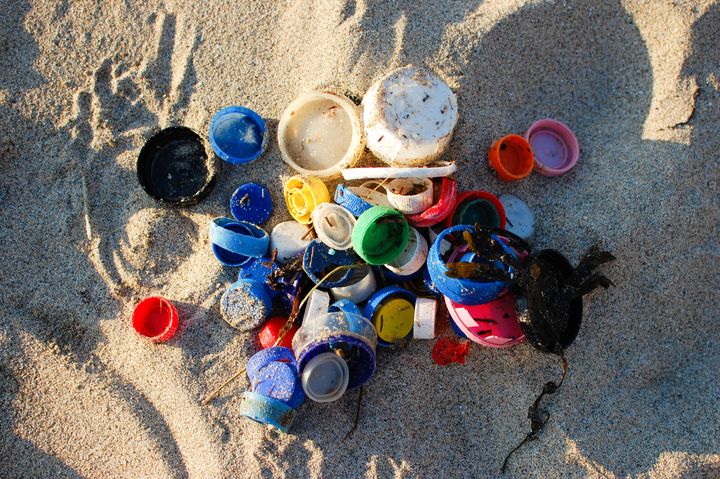 Caps and lids found on the beach.