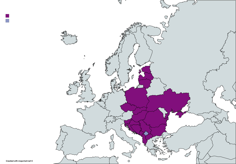 The Voices of the East: Kosovo in focus