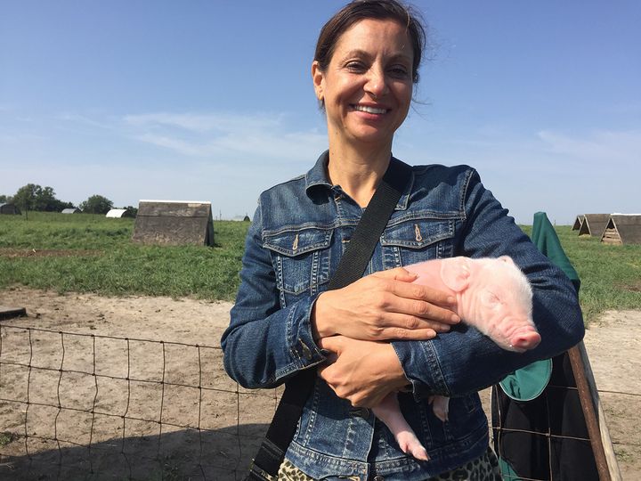 The author holding a newborn piglet on a Niman Ranch farm outside Des Moines, Iowa. Niman Ranch Pork has a “never ever” antibiotics policy. 