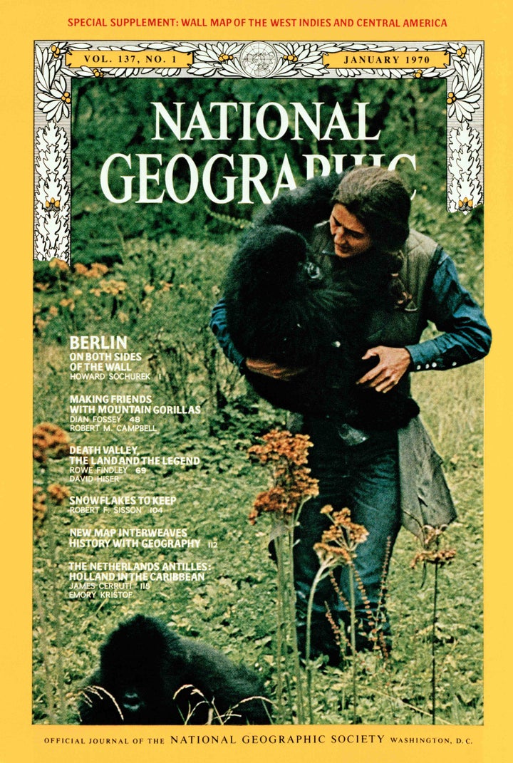 <p><em>Coco</em> and <em>Pucker, </em>the gorilla orphans<em>,</em> survived because they loved Dian Fossey as their mother.</p>