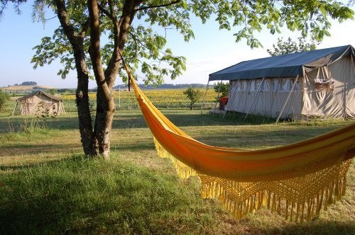Photo credit: Simply Canvas and Permaculture