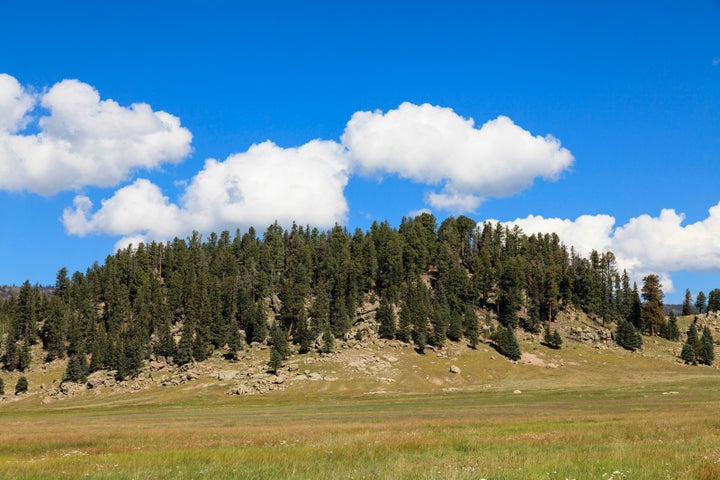 Hillock at Valles Caldera National Preserve. The Rio Grande Water Fund is will generate sustainable funding for a 10-30 year program of large-scale forest and watershed restoration treatments.  