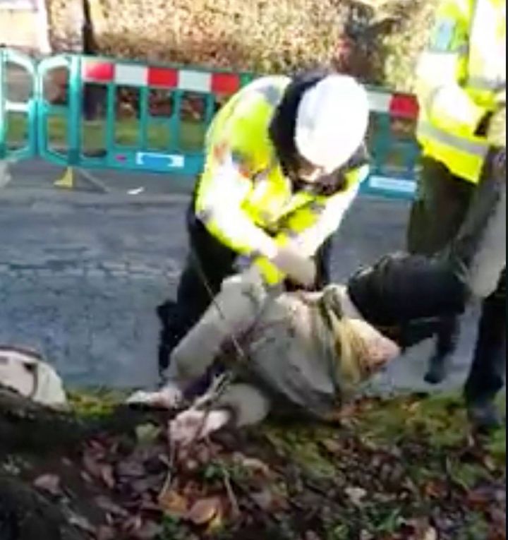 Protector dragged away from tree , purchased by residents, about to be decorated for annual Christmas event. (Abbeydale Park Rise.)