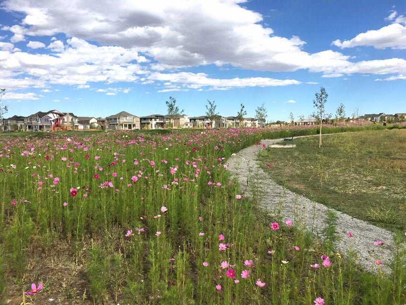 Stapleton Mixed-Use Development, Civitas