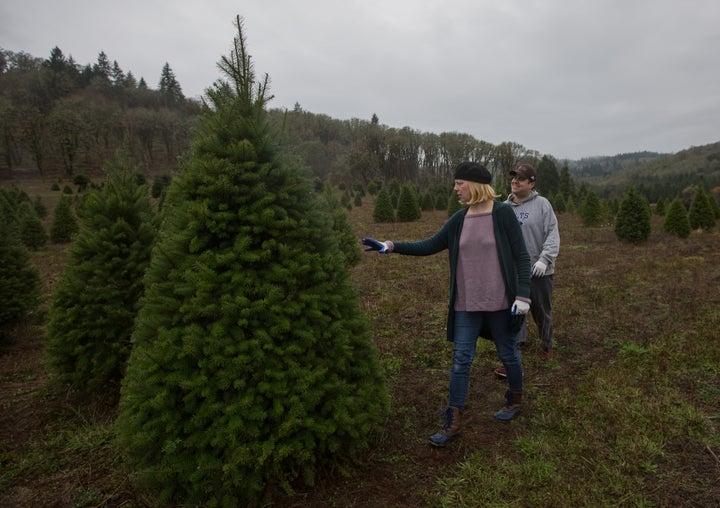 A couple searches for a Christmas tree at a farm in Oregon on Nov. 25. 