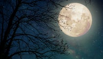 super moon energy New Year Kicks Off With Super-moon Lunapalooza