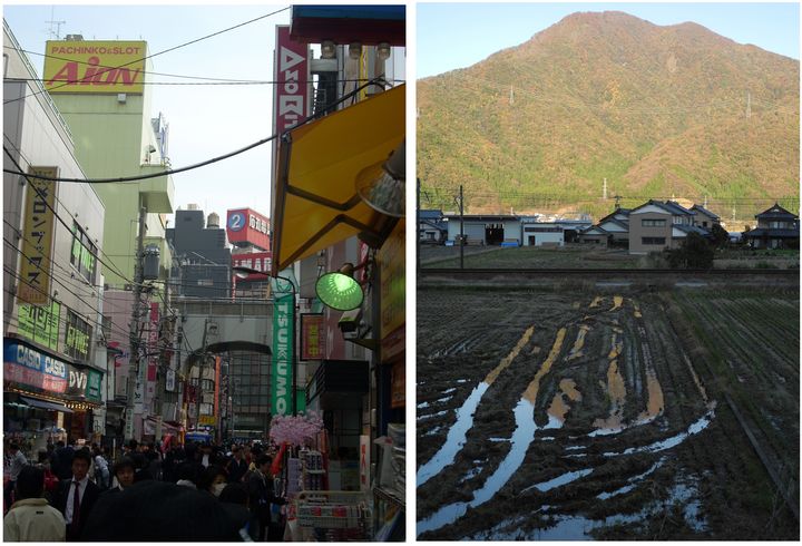 Akihabara section of Tokyo, 2008 (left), Rice Fields in Fukui Prefecture, 2017 (right) (all photos courtesy of the author)