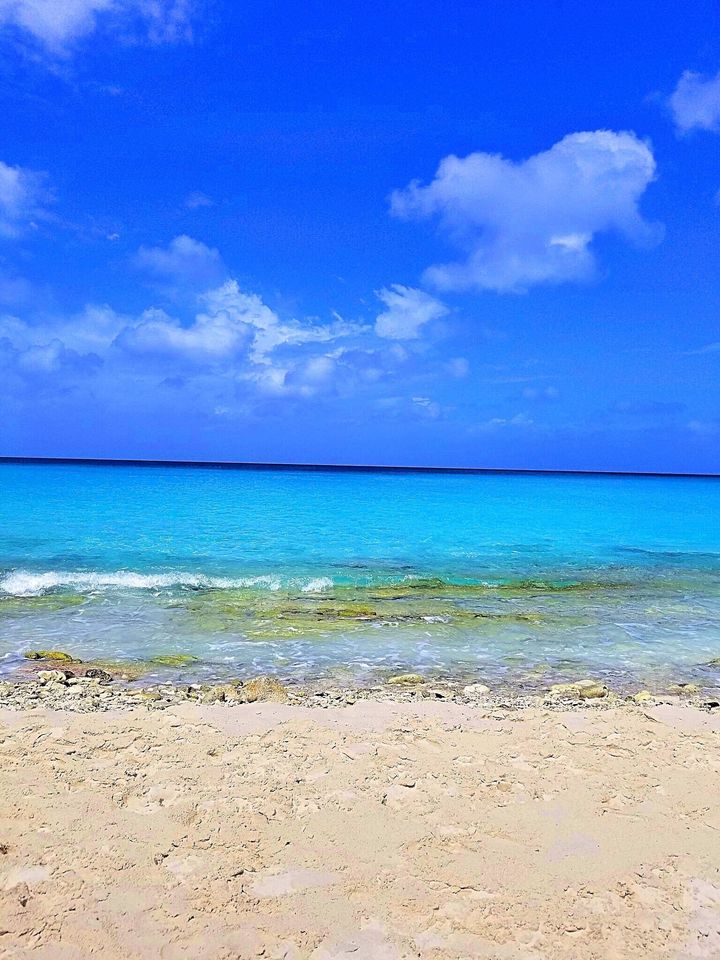 The cool blue waters are a highlight of the beaches of Curaçao. 