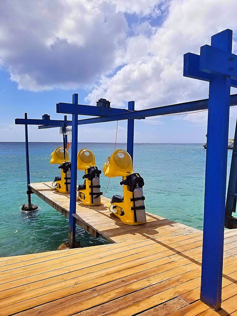 Who's ready for an Aquafari adventure?
