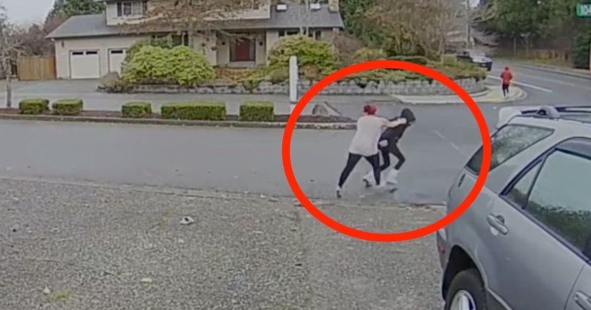 Badass Nanny Takes Down Alleged Package Thief And It Was All Caught On