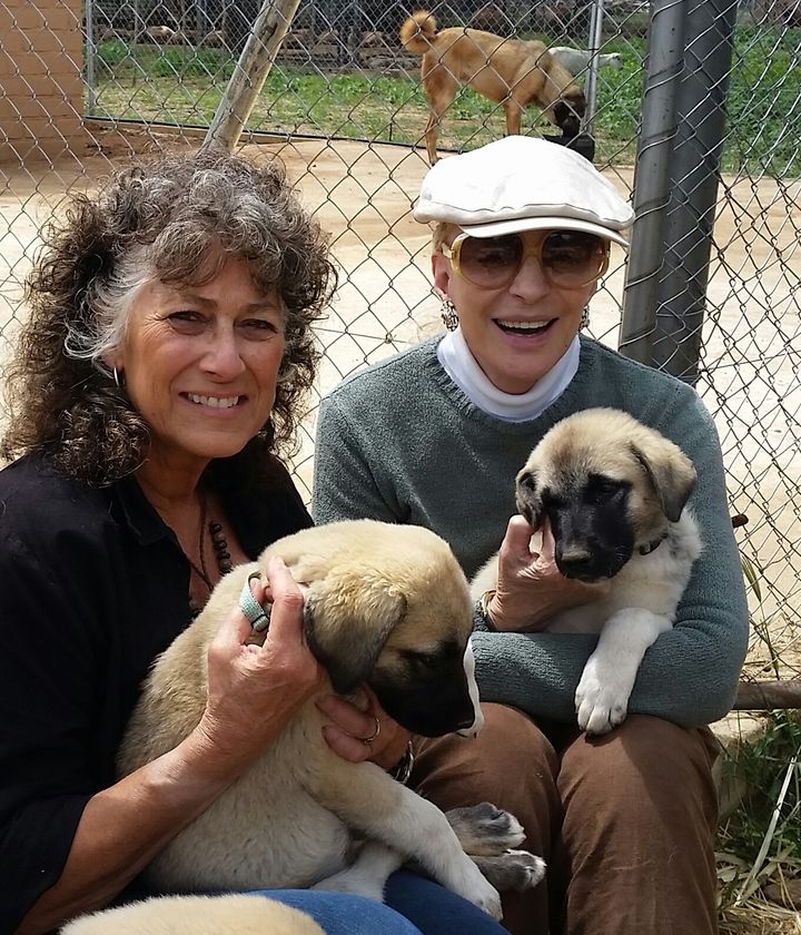 Princess Michael of Kent visits CCF’s Model Farm and Livestock Guarding Dogs with Dr. Laurie Marker. 
