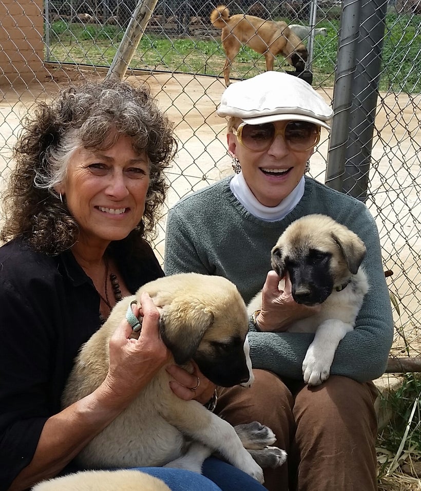 Princess Michael of Kent visits CCF’s Model Farm and Livestock Guarding Dogs with Dr. Laurie Marker.