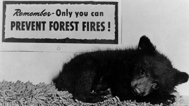 The real Smokey Bear featured in ad campaigns from 1975-1990, via <a rel="nofollow" href="https://smokeybear.com/en/smokeys-h