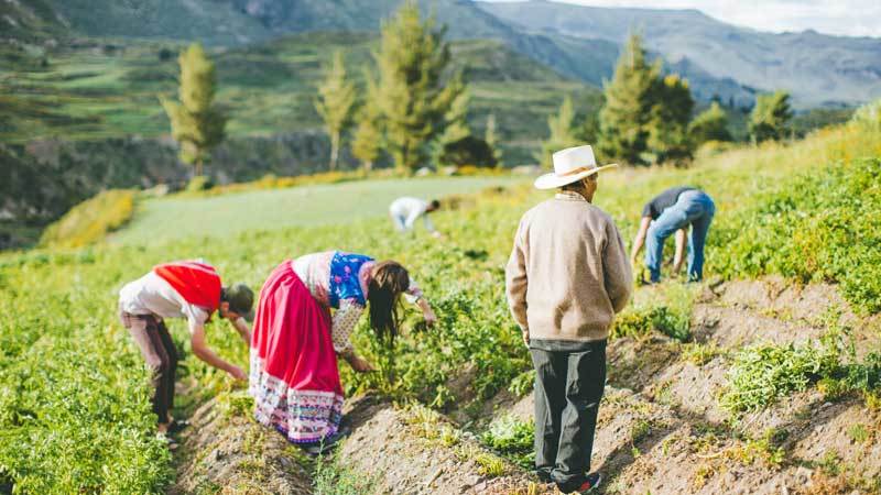 The negative impact of travel on the community and locals is growing exponentially.