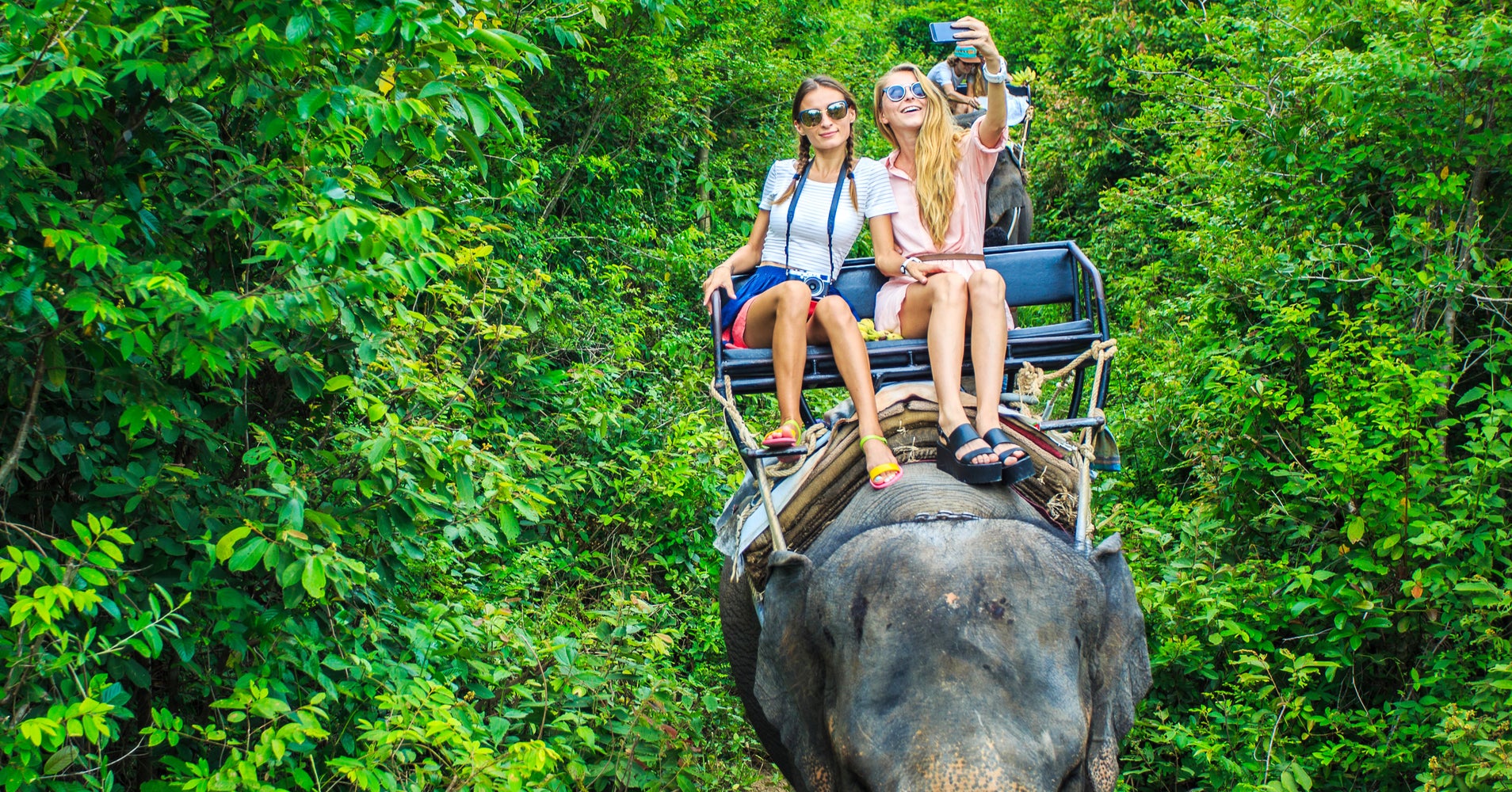 Instagram Now Warns Users Against Wild Animal Selfies HuffPost