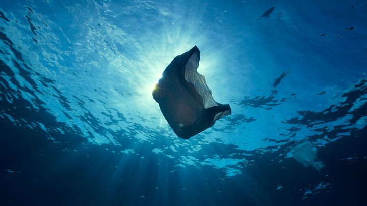 Plastic waste is having a devastating effect on the oceans
