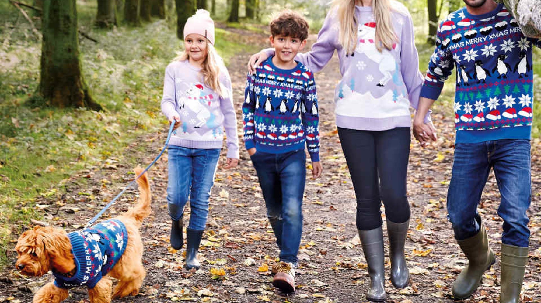 Matching dog top xmas jumper
