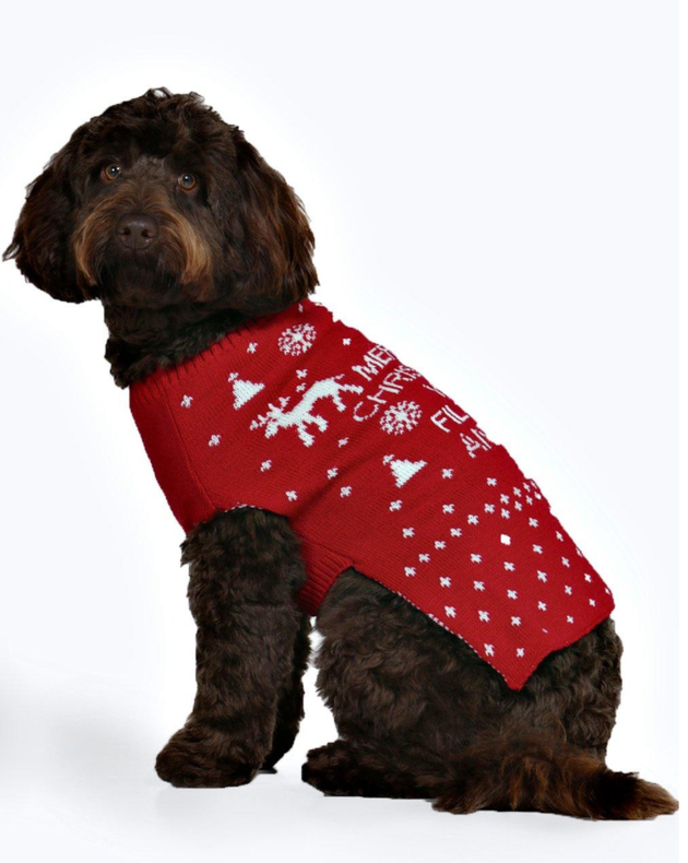Aldi Matching Jumpers Christmas Jumpers For Dogs Is A Major