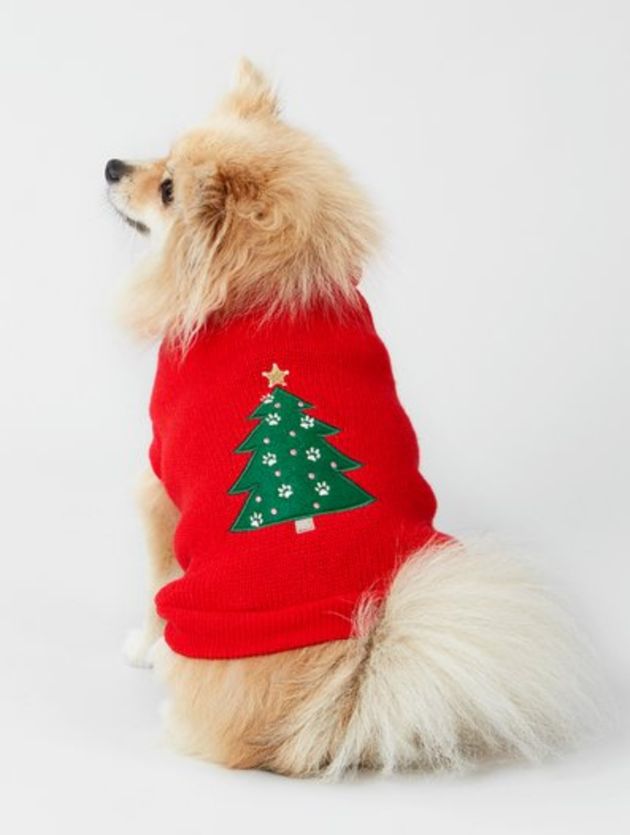 Aldi Matching Jumpers Christmas Jumpers For Dogs Is A Major