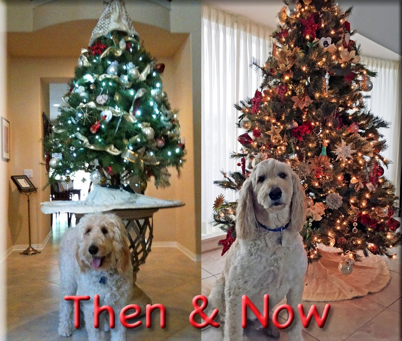 <strong><em>Then & Now</em></strong>