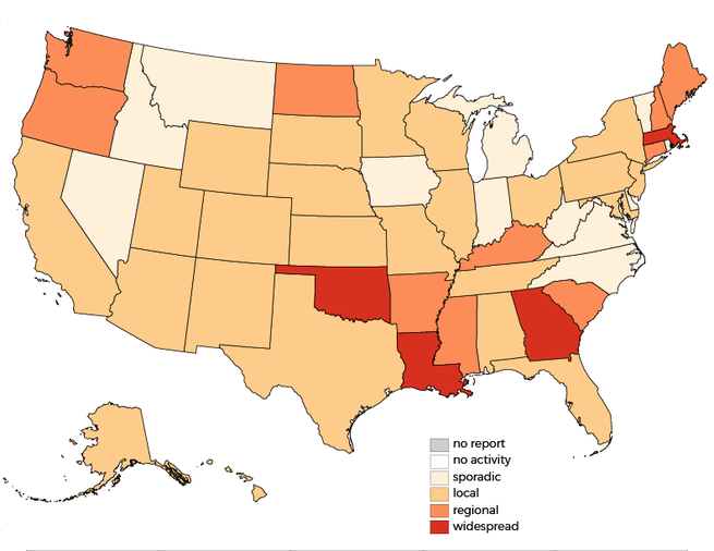 <p>This is how widespread (though not how <em>severe</em>) the flu is as of Thanksgiving week.</p>