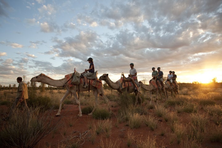 Camel Riding In The Outback