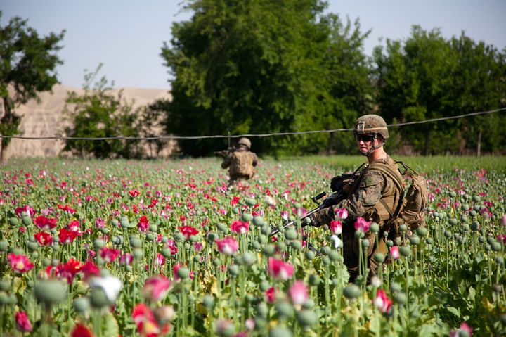 US. Marine Corps Lance Cpl. Michael Hanley, right, a machine gunner with 2D Squad, 1st Platoon, Bravo Company, 1st Battalion, 7th Marine Regiment, Regimental Combat Team 6, patrols through a field of poppy outside of Patrol Base Fires, Helmand province, Afghanistan April 24, 2012. Marines conducted the patrol to interact with the local populace and gather information on enemy activity in the area.