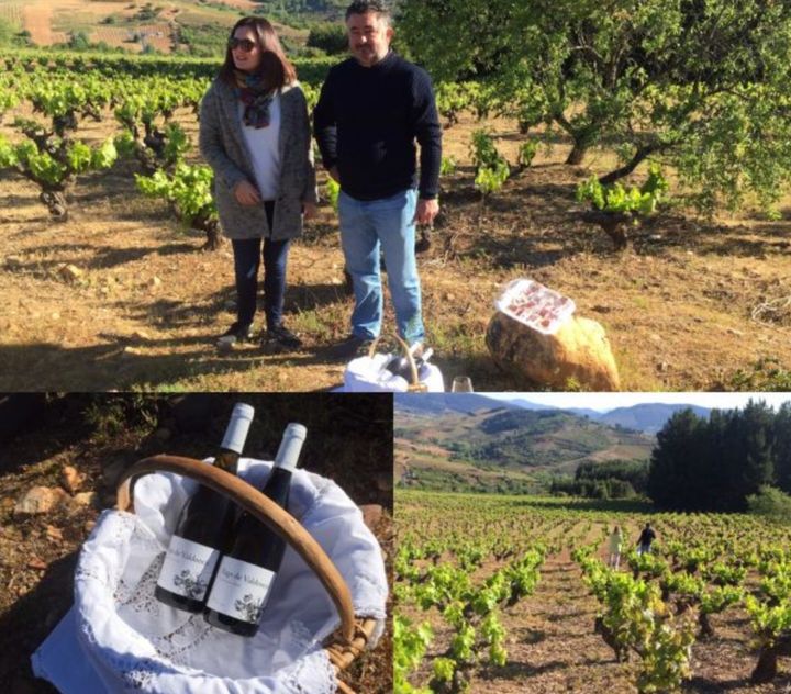 Marcos and Elena Garcia, brother and sister team at Vinos Valtuille