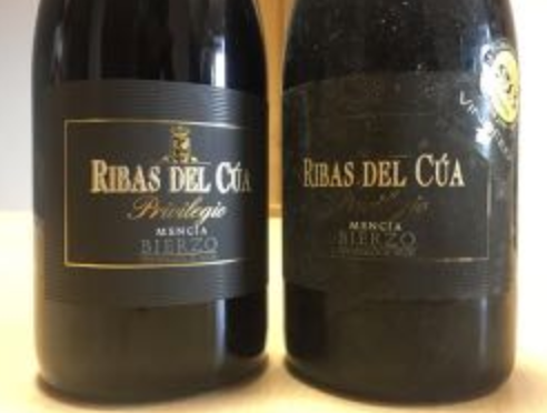 <em>Ribas del Cúa Privilegio</em>